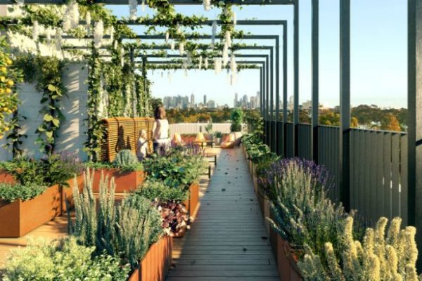 The way to Create a Gorgeous Rooftop Lawn – Rx House Design