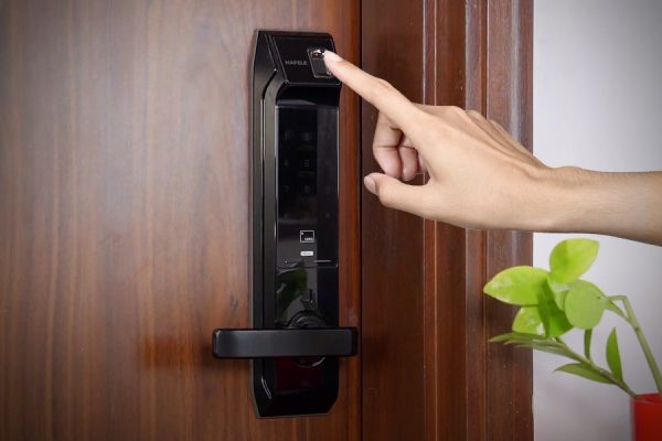 Past Keys and Codes: The Reducing-Edge Options of Fashionable Sensible Locks – Siwa Herbal House – Proper Tree Root Removing Provider