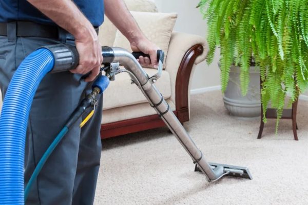 Why It Is Necessary To Paintings With A Skilled Water Recovery Corporate – Siwa Herbal House – Proper Tree Root Elimination Provider